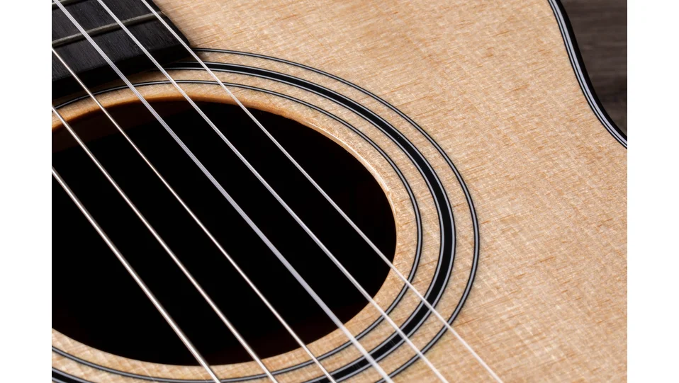 312ce-N Sapele Acoustic-Electric Guitar | Taylor Guitars